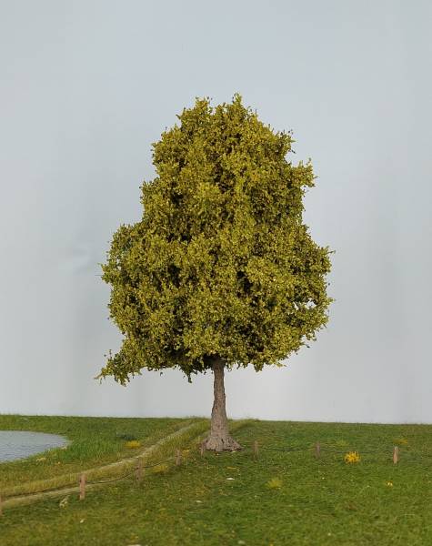Ash-tree spring Profi